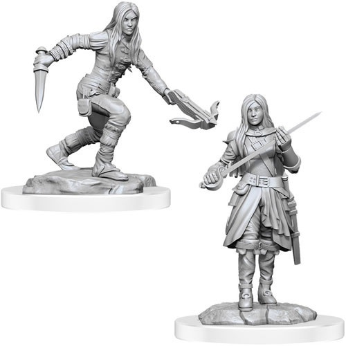 Half-Elf Rogue Female (Nolzurs - W17)